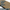 Akustikpaneele_Wandpaneele_Eiche_Natur_Lackier_von_Luxurywood