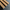 Nahaufnahme einer Akustikpaneele aus Eiche, sichtbar verarbeitet mit rustikalem Charakter und feinen Details von Luxurywood.