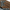 Wandpaneele_Walnuss_Natur_Lackiert_Produktseite_Lxrywood_V01